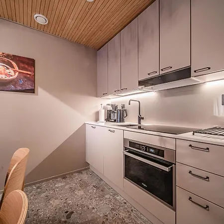 Auroras Gielas A4 Ski-in Ski-out By Aavalevi Levi